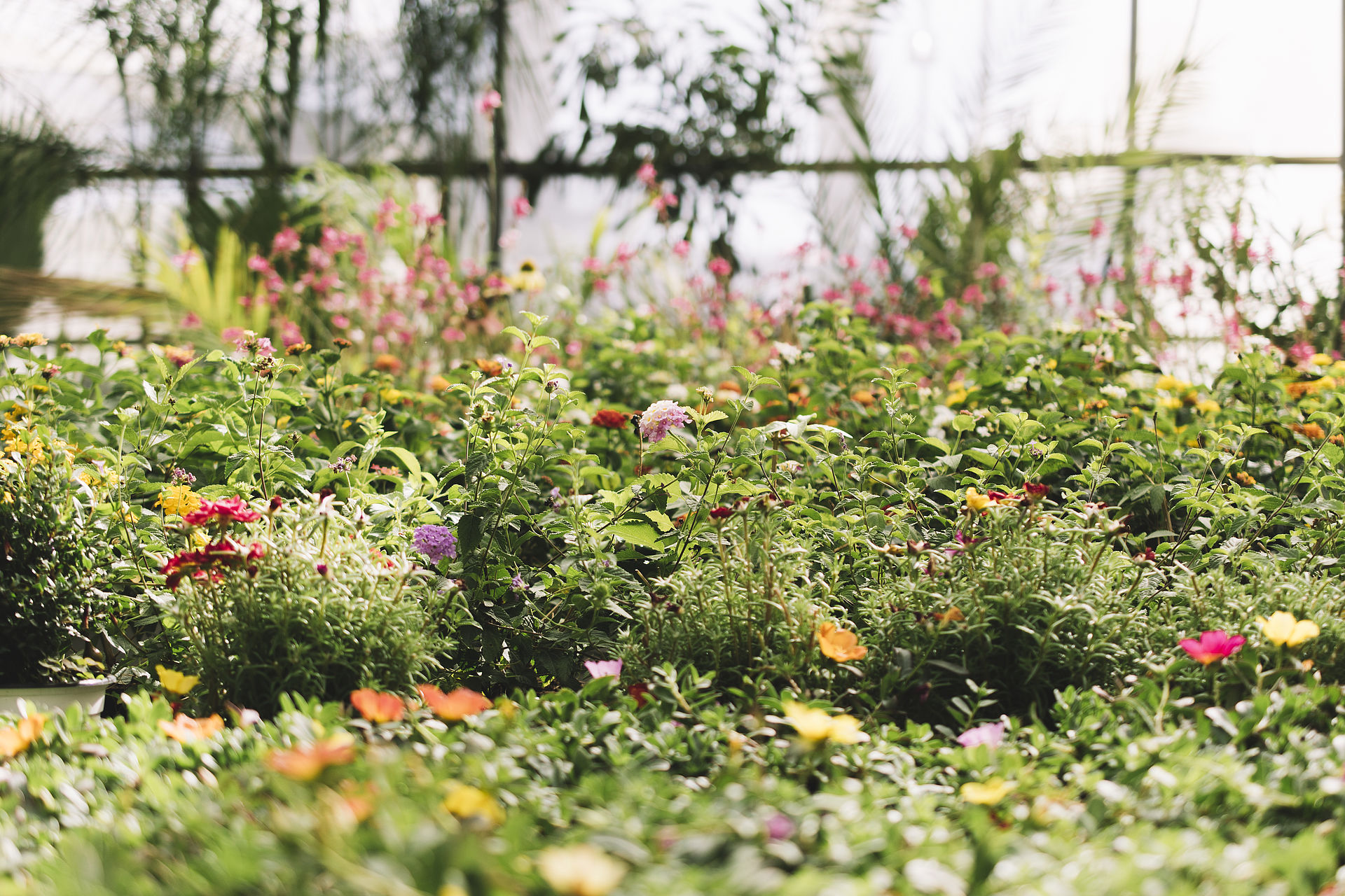 Jardin Cologique Communaut De Communes Parthenay G Tine